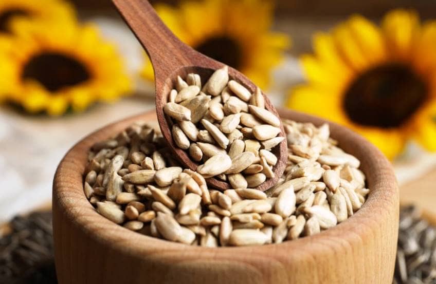 تصویر 4 از خرید تخمه آفتابگردان + فروش ویژه